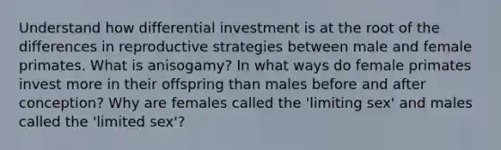 Understand how differential investment is at the root of the differences in reproductive strategies between male and female primates. What is anisogamy? In what ways do female primates invest more in their offspring than males before and after conception? Why are females called the 'limiting sex' and males called the 'limited sex'?