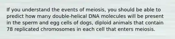 If you understand the events of meiosis, you should be able to predict how many double-helical DNA molecules will be present in the sperm and egg cells of dogs, diploid animals that contain 78 replicated chromosomes in each cell that enters meiosis.