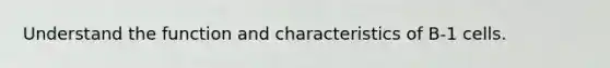Understand the function and characteristics of B-1 cells.