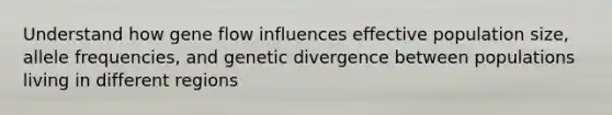 Understand how gene flow influences effective population size, allele frequencies, and genetic divergence between populations living in different regions