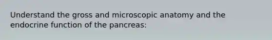 Understand the gross and microscopic anatomy and the endocrine function of the pancreas: