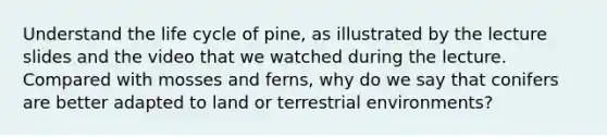 Understand the life cycle of pine, as illustrated by the lecture slides and the video that we watched during the lecture. Compared with mosses and ferns, why do we say that conifers are better adapted to land or terrestrial environments?