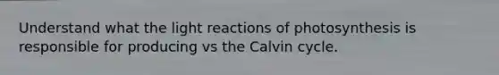 Understand what the <a href='https://www.questionai.com/knowledge/kSUoWrrvoC-light-reactions' class='anchor-knowledge'>light reactions</a> of photosynthesis is responsible for producing vs the Calvin cycle.