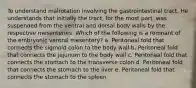 To understand malrotation involving the gastrointestinal tract. He understands that initially the tract, for the most part, was suspended from the ventral and dorsal body walls by the respective mesenteries. Which of the following is a remnant of the embryonic ventral mesentery? a. Peritoneal fold that connects the sigmoid colon to the body wall b. Peritoneal fold that connects the jejunum to the body wall c. Peritoneal fold that connects the stomach to the transverse colon d. Peritoneal fold that connects the stomach to the liver e. Peritoneal fold that connects the stomach to the spleen