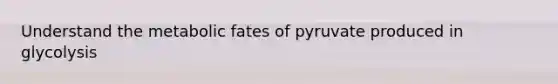 Understand the metabolic fates of pyruvate produced in glycolysis