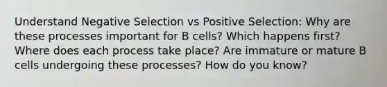 Understand Negative Selection vs Positive Selection: Why are these processes important for B cells? Which happens first? Where does each process take place? Are immature or mature B cells undergoing these processes? How do you know?