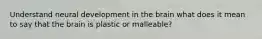 Understand neural development in the brain what does it mean to say that the brain is plastic or malleable?