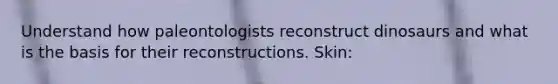 Understand how paleontologists reconstruct dinosaurs and what is the basis for their reconstructions. Skin: