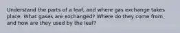 Understand the parts of a leaf, and where gas exchange takes place. What gases are exchanged? Where do they come from and how are they used by the leaf?