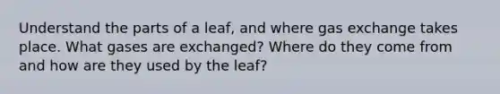 Understand the parts of a leaf, and where gas exchange takes place. What gases are exchanged? Where do they come from and how are they used by the leaf?