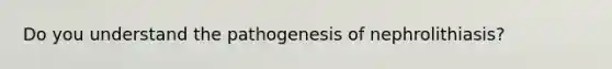 Do you understand the pathogenesis of nephrolithiasis?