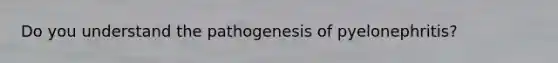 Do you understand the pathogenesis of pyelonephritis?