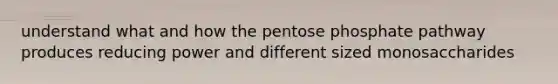 understand what and how the pentose phosphate pathway produces reducing power and different sized monosaccharides