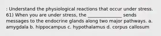 : Understand the physiological reactions that occur under stress. 61) When you are under stress, the _______________ sends messages to the endocrine glands along two major pathways. a. amygdala b. hippocampus c. hypothalamus d. corpus callosum