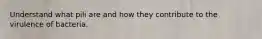 Understand what pili are and how they contribute to the virulence of bacteria.