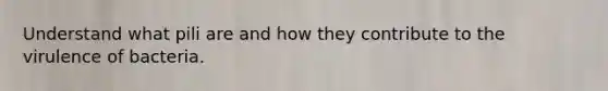 Understand what pili are and how they contribute to the virulence of bacteria.