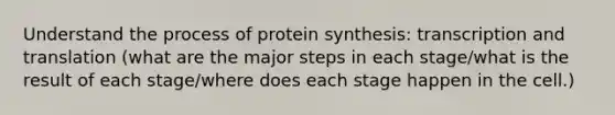 Understand the process of protein synthesis: transcription and translation (what are the major steps in each stage/what is the result of each stage/where does each stage happen in the cell.)