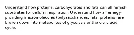 Understand how proteins, carbohydrates and fats can all furnish substrates for cellular respiration. Understand how all energy-providing macromolecules (polysaccharides, fats, proteins) are broken down into metabolites of glycolysis or the citric acid cycle.