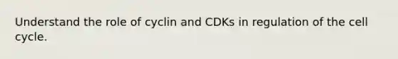 Understand the role of cyclin and CDKs in regulation of the <a href='https://www.questionai.com/knowledge/keQNMM7c75-cell-cycle' class='anchor-knowledge'>cell cycle</a>.