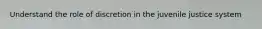 Understand the role of discretion in the juvenile justice system