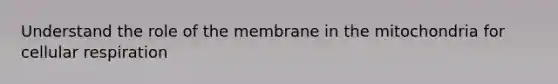 Understand the role of the membrane in the mitochondria for cellular respiration