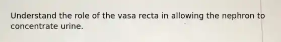 Understand the role of the vasa recta in allowing the nephron to concentrate urine.