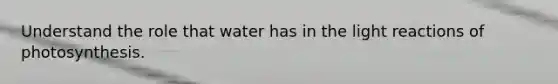 Understand the role that water has in the light reactions of photosynthesis.