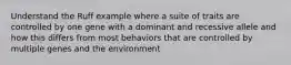 Understand the Ruff example where a suite of traits are controlled by one gene with a dominant and recessive allele and how this differs from most behaviors that are controlled by multiple genes and the environment