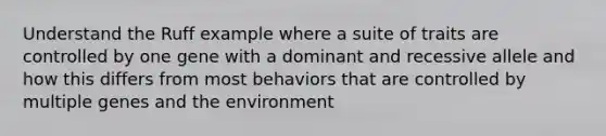 Understand the Ruff example where a suite of traits are controlled by one gene with a dominant and recessive allele and how this differs from most behaviors that are controlled by multiple genes and the environment