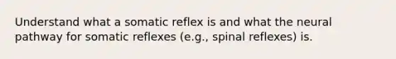 Understand what a somatic reflex is and what the neural pathway for somatic reflexes (e.g., spinal reflexes) is.