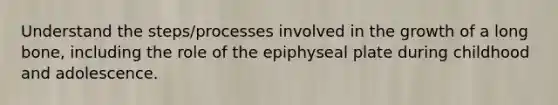 Understand the steps/processes involved in the growth of a long bone, including the role of the epiphyseal plate during childhood and adolescence.