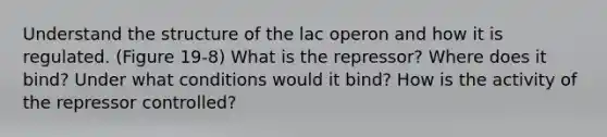 Understand the structure of the lac operon and how it is regulated. (Figure 19-8) What is the repressor? Where does it bind? Under what conditions would it bind? How is the activity of the repressor controlled?