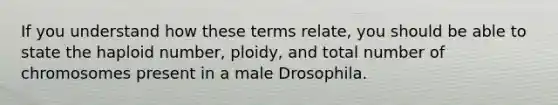 If you understand how these terms relate, you should be able to state the haploid number, ploidy, and total number of chromosomes present in a male Drosophila.