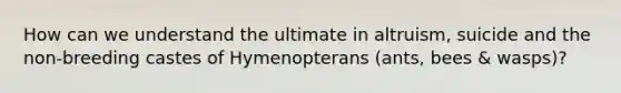 How can we understand the ultimate in altruism, suicide and the non-breeding castes of Hymenopterans (ants, bees & wasps)?