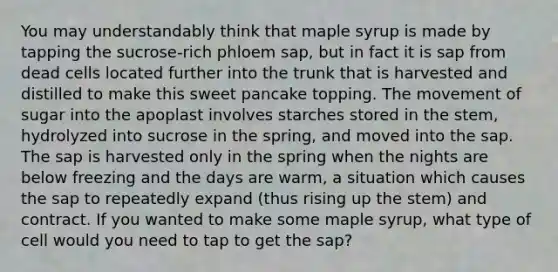 You may understandably think that maple syrup is made by tapping the sucrose-rich phloem sap, but in fact it is sap from dead cells located further into the trunk that is harvested and distilled to make this sweet pancake topping. The movement of sugar into the apoplast involves starches stored in the stem, hydrolyzed into sucrose in the spring, and moved into the sap. The sap is harvested only in the spring when the nights are below freezing and the days are warm, a situation which causes the sap to repeatedly expand (thus rising up the stem) and contract. If you wanted to make some maple syrup, what type of cell would you need to tap to get the sap?