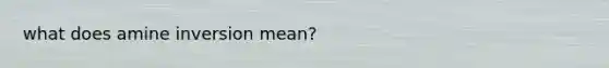 what does amine inversion mean?