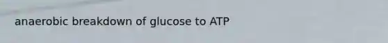 anaerobic breakdown of glucose to ATP