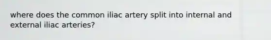 where does the common iliac artery split into internal and external iliac arteries?