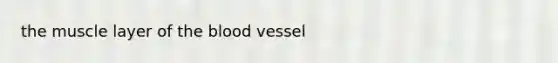 the muscle layer of <a href='https://www.questionai.com/knowledge/k7oXMfj7lk-the-blood' class='anchor-knowledge'>the blood</a> vessel