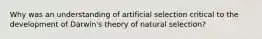 Why was an understanding of artificial selection critical to the development of Darwin's theory of natural selection?