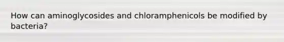 How can aminoglycosides and chloramphenicols be modified by bacteria?