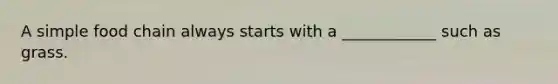 A simple food chain always starts with a ____________ such as grass.
