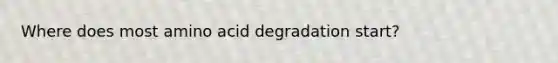 Where does most amino acid degradation start?