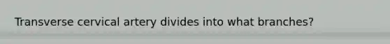 Transverse cervical artery divides into what branches?