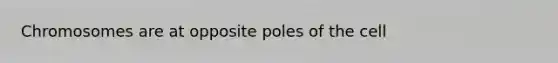 Chromosomes are at opposite poles of the cell