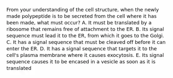 From your understanding of the cell structure, when the newly made polypeptide is to be secreted from the cell where it has been made, what must occur? A. It must be translated by a ribosome that remains free of attachment to the ER. B. Its signal sequence must lead it to the ER, from which it goes to the Golgi. C. It has a signal sequence that must be cleaved off before it can enter the ER. D. It has a signal sequence that targets it to the cell's plasma membrane where it causes exocytosis. E. Its signal sequence causes it to be encased in a vesicle as soon as it is translated