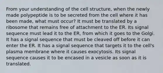 From your understanding of the cell structure, when the newly made polypeptide is to be secreted from the cell where it has been made, what must occur? It must be translated by a ribosome that remains free of attachment to the ER. Its signal sequence must lead it to the ER, from which it goes to the Golgi. It has a signal sequence that must be cleaved off before it can enter the ER. It has a signal sequence that targets it to the cell's plasma membrane where it causes exocytosis. Its signal sequence causes it to be encased in a vesicle as soon as it is translated.