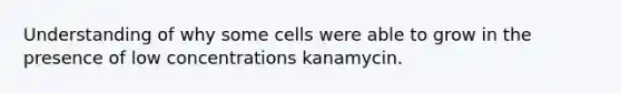 Understanding of why some cells were able to grow in the presence of low concentrations kanamycin.