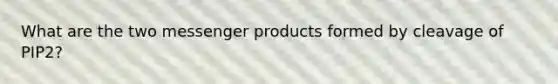 What are the two messenger products formed by cleavage of PIP2?