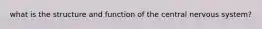 what is the structure and function of the central nervous system?